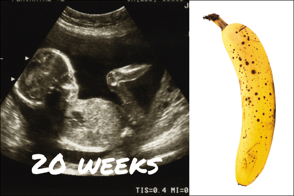 week 20 pregnancy fruit