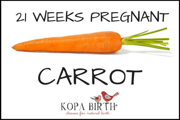 WEEK 21 PREGNANCY HOW BIG IS BABY