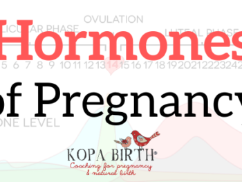 Hormones of Pregnancy-image