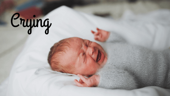Newborn sleep schedule - crying