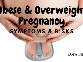 Obese & Overweight Pregnancy - Symptoms and Risks - Image