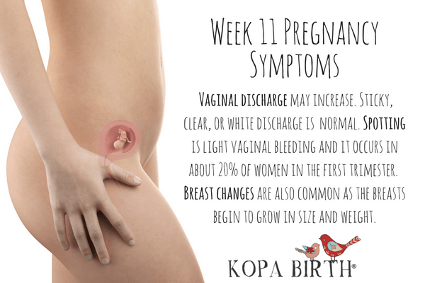 Week 11 Pregnancy Symptoms