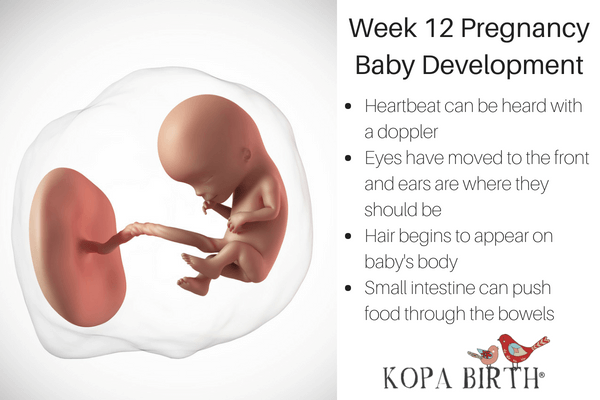 12 Weeks Baby Development Milestones