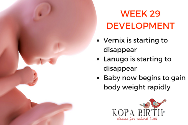 29 Weeks Baby Development: Your Little One is Growing Fast!