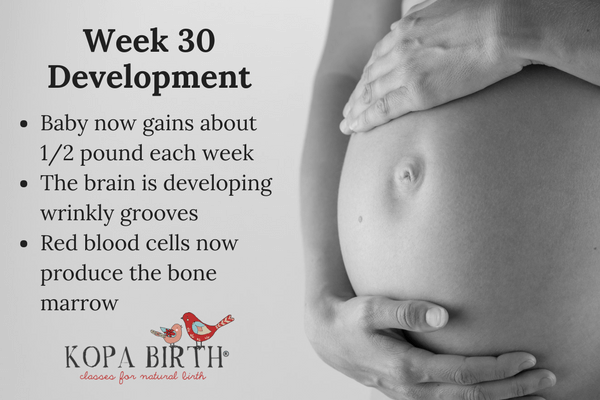 week 30 pregnancy development